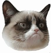 Image result for Grumpy Cat Memes Clean