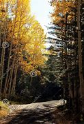 Image result for Flagstaff Arizona in Autumn