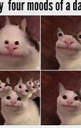 Image result for Happy Cat Dank Meme
