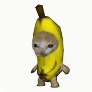 Image result for Banana Cat Gift