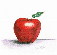 Image result for Apple Drawing Book