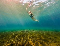 Image result for Swimming in Clear Ocean