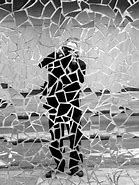 Image result for Shattered Photography