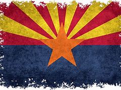 Image result for Arizona Icon White PNG