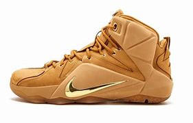 Image result for Nike Indoor Basketball