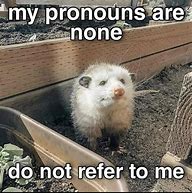 Image result for None Notices MeMeMe