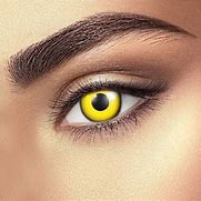 Image result for Monthly Colored Contact Lenses