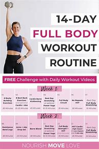Image result for Daily Full Body Workout