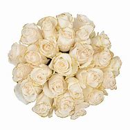 Image result for Pure White Rose Gold