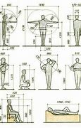 Image result for Anthropometry
