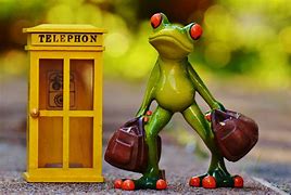 Image result for Biologically Correct Frog Phone Case