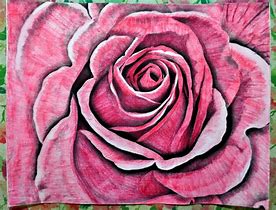 Image result for Ink Rose
