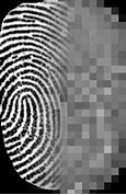Image result for Setting Fingerprint