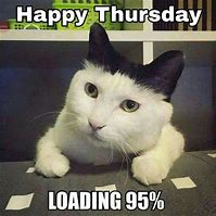 Image result for Funny Thursday Cat Meme