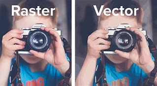 Image result for Vector or Raster