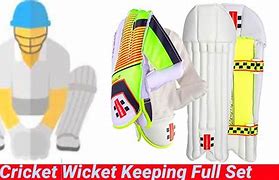Image result for Wicket Keeping Set