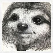 Image result for Sid the Sloth Realistic