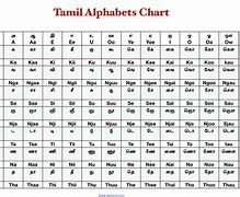 Image result for India Tamil Language