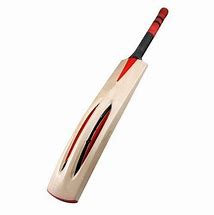 Image result for Cricket Bat Single