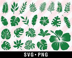 Image result for Tropical Leaf SVG