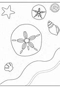 Image result for Sand Dollar Print