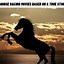 Image result for Horse Movies True Story