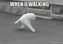 Image result for Walking Meme Theme