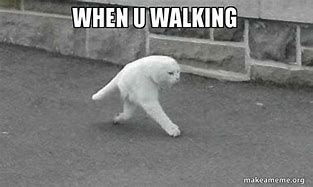 Image result for Cat Meme Walking Away Like a Boss