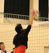 Image result for バレーボール ブロード. Size: 171 x 185. Source: volleyball-schools.com