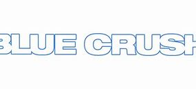 Image result for Blue Crush 2 Logo
