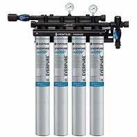 Image result for Everpure Water Filter System
