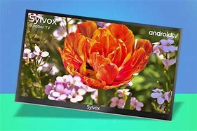 Image result for Largest Outdoor TV