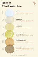 Image result for Urine Color Meaning Chart