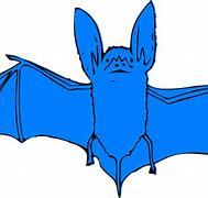 Image result for Small Bat Clip Art