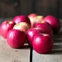 Image result for 4Lbs of Apple's
