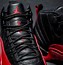 Image result for Jordan Flu Game