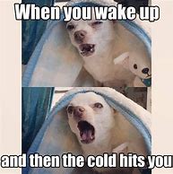 Image result for Morning and Its Freezing Meme