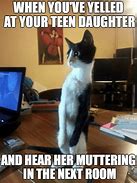 Image result for Adopted Daughter Memes