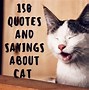 Image result for Cute Kitty Cat Quotes