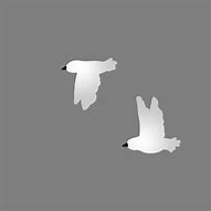 Image result for Flying Birds in Sky Black and White
