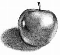 Image result for Apple Pencil Sketch