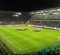 Image result for Groupama Arena