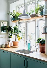 Image result for Kitchen Window Hanging Plants