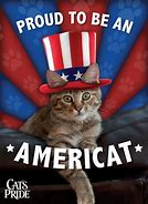 Image result for Cat Tank Meme