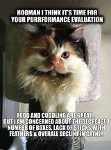 Image result for Performance Review Meme