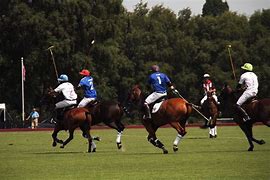 Image result for Polo Game