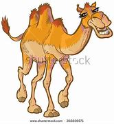 Image result for Cartoon Herd of Camales