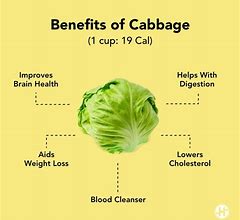 Image result for Cabbage Health Benefits