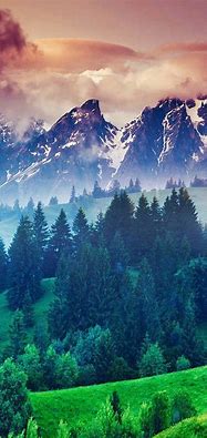 Image result for iPhone 5 Wallpaper Nature