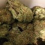 Image result for Nordle Weed